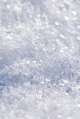 Obraz premium Neuschnee, Schneekristalle, Schnee, Nahaufnahme, Deutschland, Europa