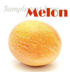 Ripe whole melon isolated