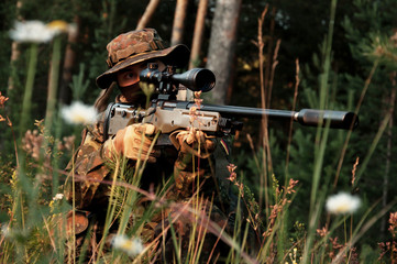 Sniper takes aim from a position. In the field of chamomile