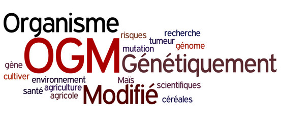 Nuage de Mot : OGM