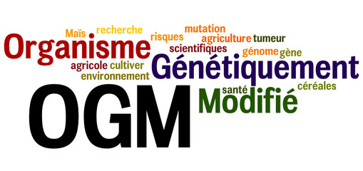 Nuage de Mot : OGM 2