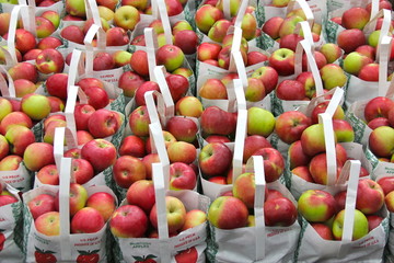 Bags of Apples