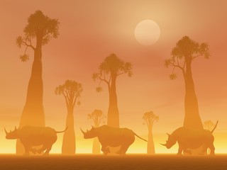 Fototapeta na wymiar Rhinoceros uruchomiony przez zachodem słońca