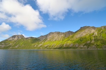 Fjord shore in Norway