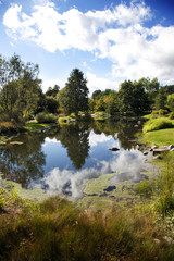 Garden with pond and blue sky