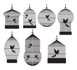 Crédence de cuisine en verre imprimé Oiseaux en cages cages à oiseaux