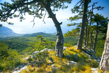 Highly in mountains.