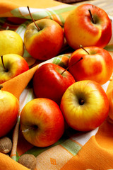 Assortment of Autumn Apples