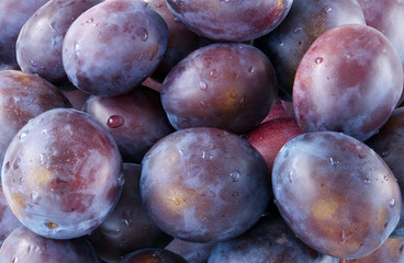 Purple plums