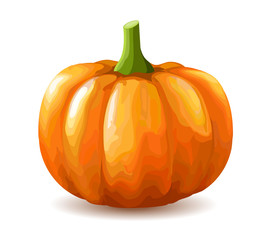 Pumpkin on white background