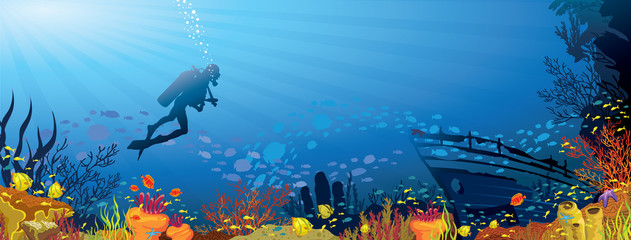 Colored coral reef with fish and diver