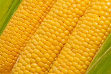 Sweet corn