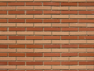 brick wall two colors