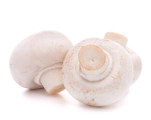 Champignon mushroom