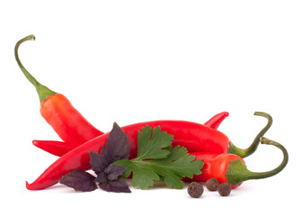 Hot red chili or chilli pepper and aromatic herbs leaves still l