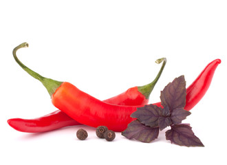 Hot red chili or chilli pepper and basil leaves still life