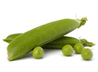 Fresh green pea pod