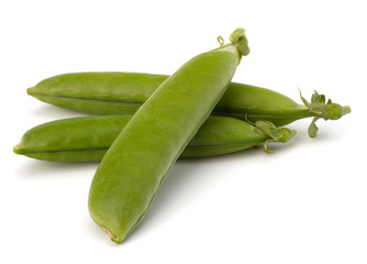 Fresh green pea pod