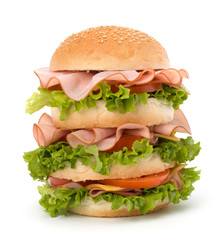Junk food hamburger
