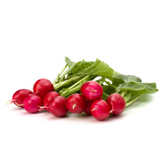 .Small garden radish  .