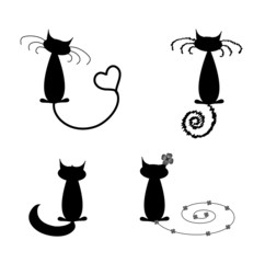 collection of black cats humorous