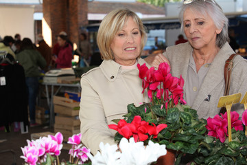 Women looking at plants in a market