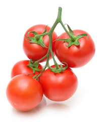 Bunch of fresh tomatoes on white background