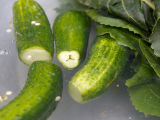 fresh-salted cucumbers in pickle
