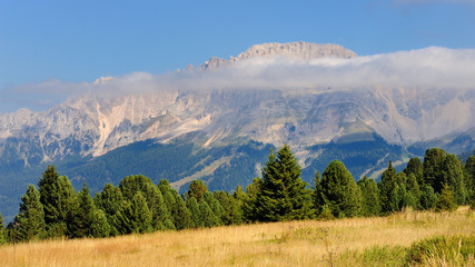 Fototapeta na wymiar Dolomity - Monte Latemar po kroku Lavaze