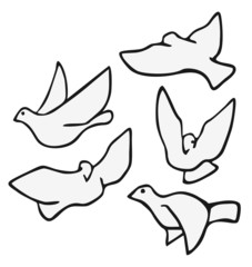Fly peace