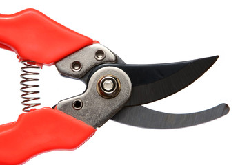 Red garden secateurs isolated on a white background