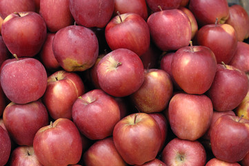 Fototapeta na wymiar Red ripe apple background