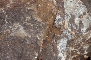 Rough surface of the brown stone
