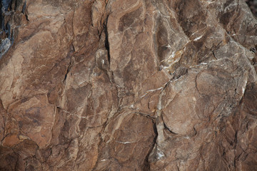Brown stone with protuberances