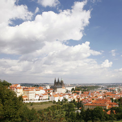 Fototapeta premium Prague Skyline