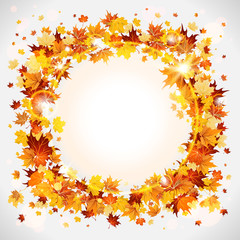 Wreath of maple leaves
