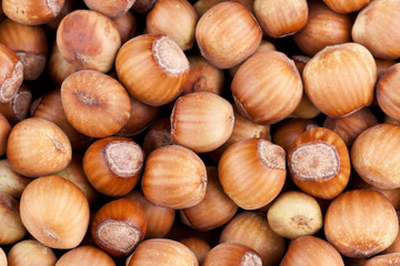 The heap of hazelnuts