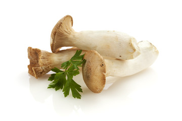 King trumpet mushrooms