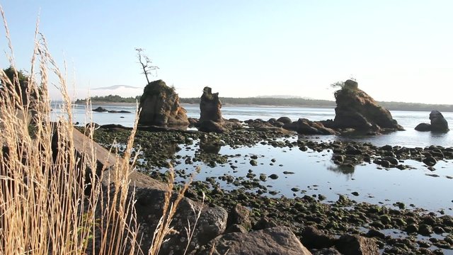 Lowtide at Garibaldi Beach along Oregon Coast with Grass 1080p