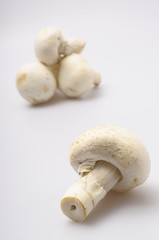 White mushrooms