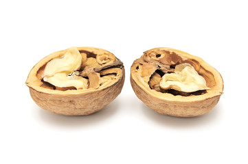 walnut isolated on white background