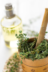 Healthy aromatic herbs.Thyme