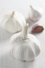 Garlic