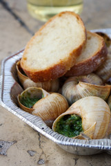 snails as gourmet food with bread
