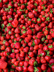 Strawberries background