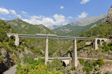Fototapeta premium Train driving on large bridge and viaduct