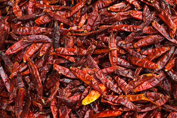 Peperoncino