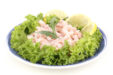 Delicious marinated shrimp in plate isolated on white