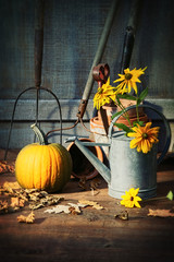 Garden shed with tools, pumpkin and flowers