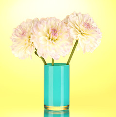 Beautiful white dahlias in blue vase